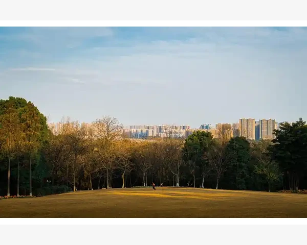 中医调理小孩脾胃虚弱见效时间探讨