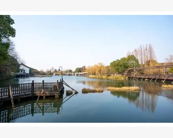 中医调理小肚子：传统养生有效方法